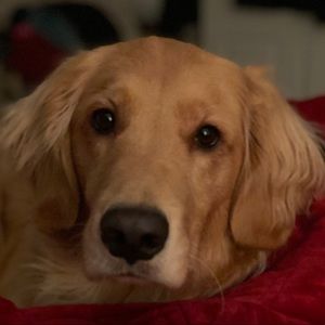 Meet your Posher, Savanah